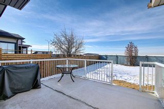 Photo 48: 260 SPRINGMERE Way: Chestermere Detached for sale : MLS®# A1073459