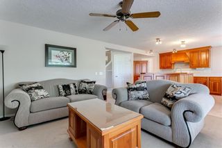 Photo 8: 250 MARTHA'S Manor NE in Calgary: Martindale Detached for sale : MLS®# C4267233