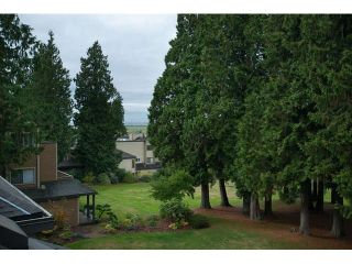 Photo 13: 11 14085 NICO WYND PLACE in Surrey: Elgin Chantrell Home for sale ()  : MLS®# F1433623