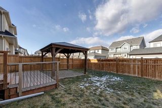 Photo 43: 40 Masters Terrace SE in Calgary: Mahogany Detached for sale : MLS®# A2107239