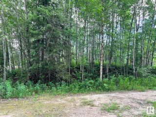 Photo 10: 2130 2001 Twp Rd 474: Rural Leduc County Vacant Lot/Land for sale : MLS®# E4393526