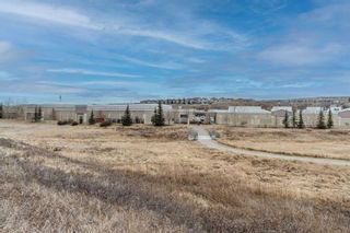 Photo 40: 140 Evansbrooke Landing NW in Calgary: Evanston Detached for sale : MLS®# A2102072
