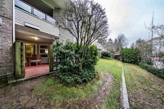 Photo 17: 114 1999 SUFFOLK Avenue in Port Coquitlam: Glenwood PQ Condo for sale in "KEY WEST" : MLS®# R2335328