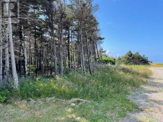 Photo 3: 16 Beach Street in Stephenville Crossing: Vacant Land for sale : MLS®# 1261641