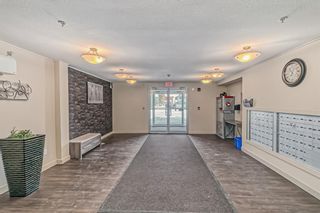 Photo 32: 303 7180 80 Avenue NE in Calgary: Saddle Ridge Apartment for sale : MLS®# A2023419