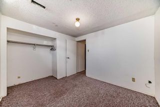 Photo 31: 59 Falchurch Road NE in Calgary: Falconridge Semi Detached (Half Duplex) for sale : MLS®# A2130839