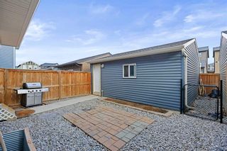 Photo 31: 104 Evansborough Common NW in Calgary: Evanston Detached for sale : MLS®# A2124622