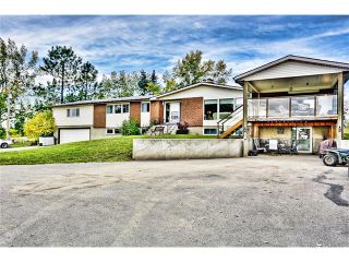 Photo 3: 386141 2 Street E: Rural Foothills M.D. House for sale : MLS®# C4081812