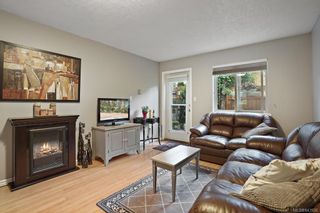 Photo 24: 955 Falmouth Rd in Saanich: SE Quadra House for sale (Saanich East)  : MLS®# 843926