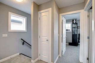 Photo 31: 180 Evanspark Gardens NW in Calgary: Evanston Detached for sale : MLS®# A1144783