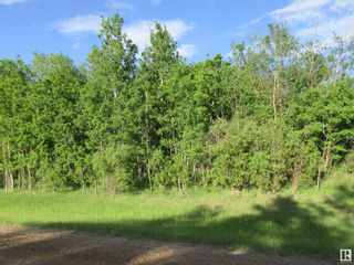 Photo 13: RR 223 Twp Rd 612: Rural Thorhild County Vacant Lot/Land for sale : MLS®# E4318874