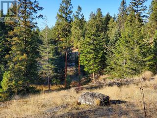 Photo 12: 1205 SPILLER Road in Penticton: Vacant Land for sale : MLS®# 10302477