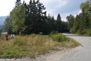 Photo 4: 106 TAMARAC STREET in Salmo: Vacant Land for sale : MLS®# 2467591