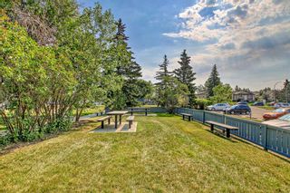 Photo 38: 1208 3115 51 Street SW in Calgary: Glenbrook Apartment for sale : MLS®# A2068400