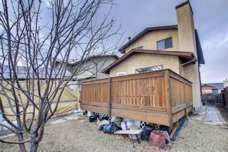 Photo 46: 33 Templeton Bay NE in Calgary: Temple Detached for sale : MLS®# A1199751