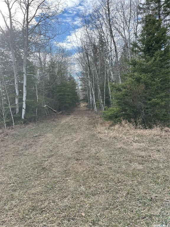 Main Photo: 9.17 Acre South in Hudson Bay: Lot/Land for sale : MLS®# SK927895