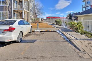 Photo 38: 2407 155 Skyview Ranch Way NE in Calgary: Skyview Ranch Apartment for sale : MLS®# A1188175