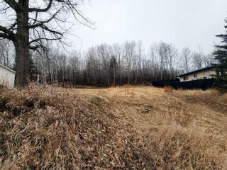 Photo 6: 4910 59 Street in Athabasca: Athabasca Town Residential Land for sale : MLS®# A2119596