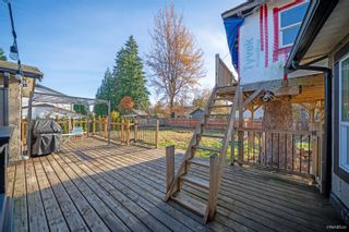 Photo 33: 21328 CAMPBELL Avenue in Maple Ridge: West Central House for sale : MLS®# R2833406