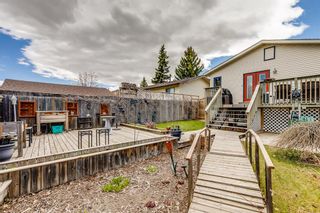 Photo 18: 72 Applewood Drive SE in Calgary: Applewood Park Detached for sale : MLS®# A1219112