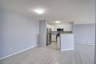 Photo 10: 2310 2280 68 Street NE in Calgary: Monterey Park Apartment for sale : MLS®# A2124709