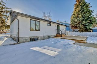Photo 43: 16 Hoover Place SW in Calgary: Haysboro Detached for sale : MLS®# A2015634