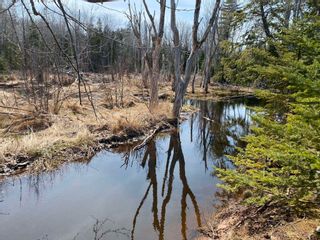 Photo 1: Lot 21 Lakeside Drive in Little Harbour: 108-Rural Pictou County Vacant Land for sale (Northern Region)  : MLS®# 202207907