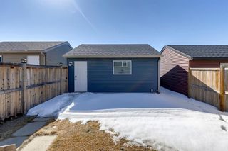Photo 35: 161 Evansborough Way NW in Calgary: Evanston Detached for sale : MLS®# A2033757