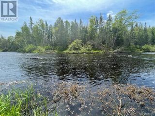 Photo 31: - Canoose Stream Road in Canoose: Vacant Land for sale : MLS®# NB073754