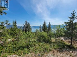 Photo 8: 10465 Columbia Way in Vernon: Vacant Land for sale : MLS®# 10307756