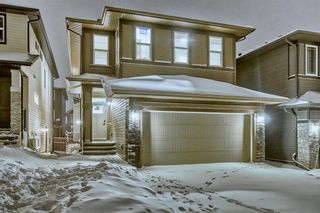 Photo 1: 46 Ambleside Rise NW in Calgary: C-527 Detached for sale : MLS®# A2011142
