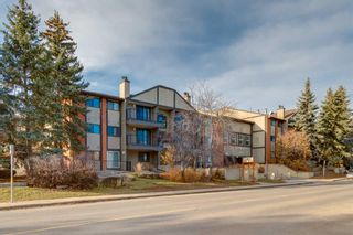 Photo 1: 1211 13045 6 Street SW in Calgary: Canyon Meadows Apartment for sale : MLS®# A2093401