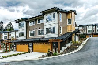 Photo 1: 31 23986 104 Avenue in Maple Ridge: Albion Townhouse for sale in "SPENCER BROOK ESTATES" : MLS®# R2162286