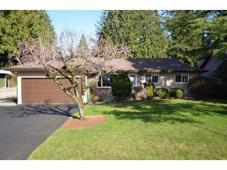 Photo 1: 19815 36A AV in Langley: Brookswood Langley Home for sale ()  : MLS®# F1434172