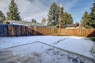 Photo 40: 2604 106 Avenue SW in Calgary: Cedarbrae Detached for sale : MLS®# A1159807