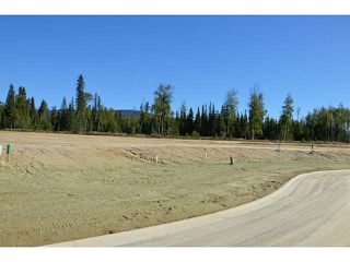 Photo 10: LOT 2 BELL Place in Mackenzie: Mackenzie -Town Land for sale in "BELL PLACE" : MLS®# N227294