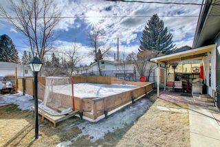 Photo 49: 419 Tavender Road NW in Calgary: Thorncliffe Detached for sale : MLS®# A1193572