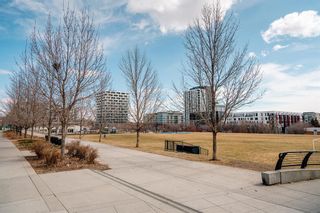 Photo 28: 409 880 Centre Avenue NE in Calgary: Bridgeland/Riverside Apartment for sale : MLS®# A2039648