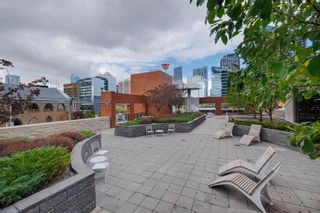 Photo 14: 3006 211 13 Avenue SE in Calgary: Beltline Apartment for sale : MLS®# A2127735