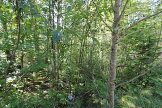 Photo 10: Lot 90 Birch Close: Land Only for sale : MLS®# 10071170