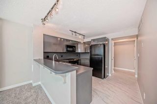 Photo 6: 204 188 15 Avenue SW in Calgary: Beltline Apartment for sale : MLS®# A2121458