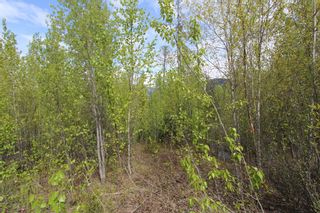 Photo 13: Lot 82 Sunset Drive: Eagle Bay Land Only for sale (Shuswap)  : MLS®# 10186646