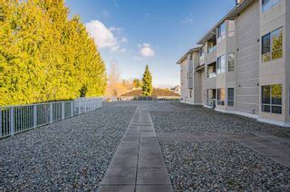 Photo 13: 102 6440 197 Street in Langley: Willoughby Heights Condo for sale : MLS®# R2872059