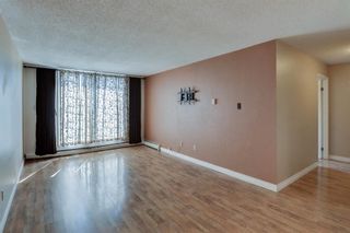Photo 7: 326 30 Mchugh Court NE in Calgary: Mayland Heights Apartment for sale : MLS®# A1253732