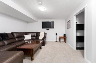 Photo 19: 18 Autumn Crescent SE in Calgary: Auburn Bay Detached for sale : MLS®# A1176701