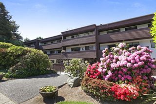 Main Photo: 109 341 W 3RD Street in North Vancouver: Lower Lonsdale Condo for sale in "Lisa Place" : MLS®# R2886261