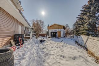 Photo 43: 793 East Lakeview Road: Chestermere Detached for sale : MLS®# A2035193