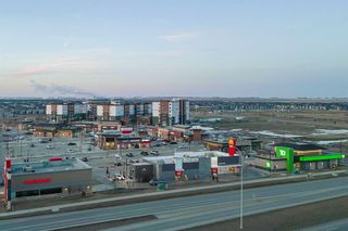 Photo 43: 21 Cityscape Avenue NE in Calgary: Cityscape Detached for sale : MLS®# A2048700