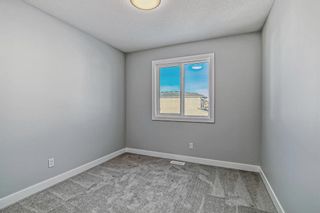 Photo 38: 175 Belvedere Green SE in Calgary: Belvedere Detached for sale : MLS®# A2094403