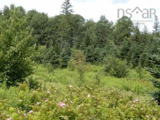 Photo 1: 15.5 acres Lairg Road in New Lairg: 108-Rural Pictou County Vacant Land for sale (Northern Region)  : MLS®# 202226624